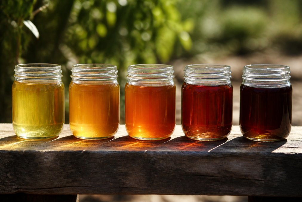 Five jars displaying varied raw honey flavour profiles, from pale golden amber to deep mahogany brown.