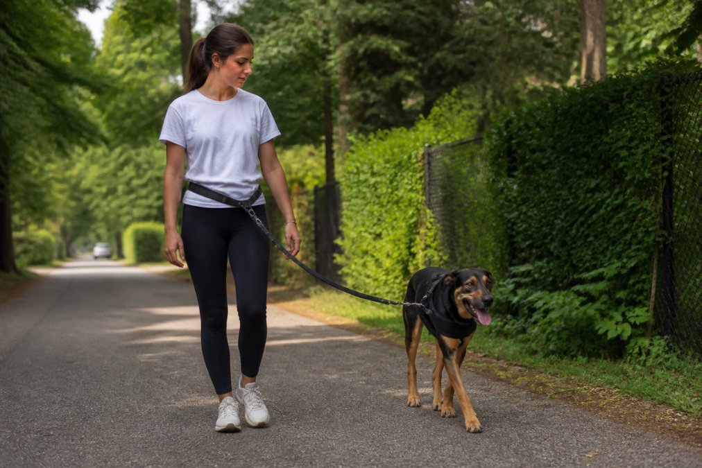 Femme promenant son chien avec un harnais et une laisse attachée à la taille sur un sentier paisible