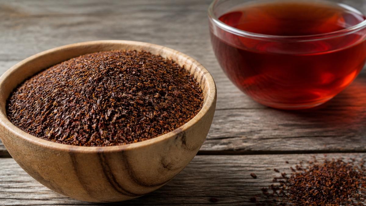 Infographic illustrating the harvesting and brewing process of dried red bush rooibos leaves.