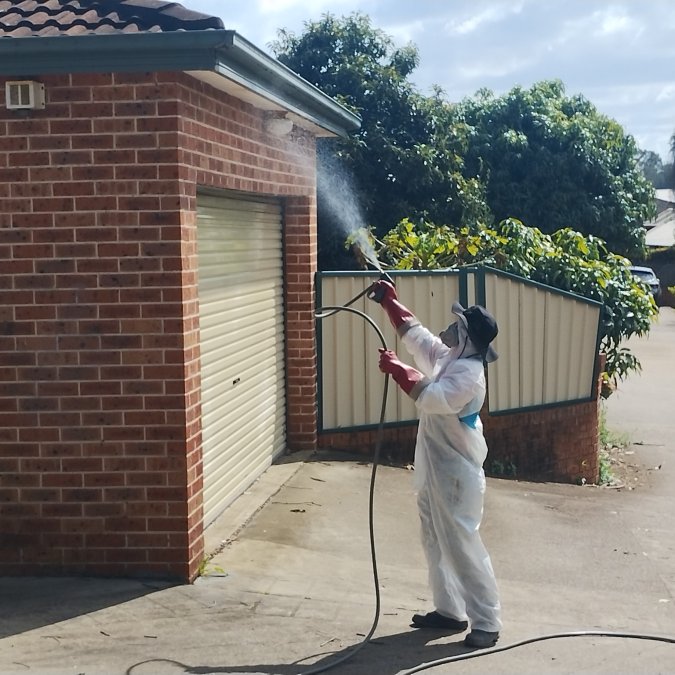 Redback Pest Control Treatment 2
