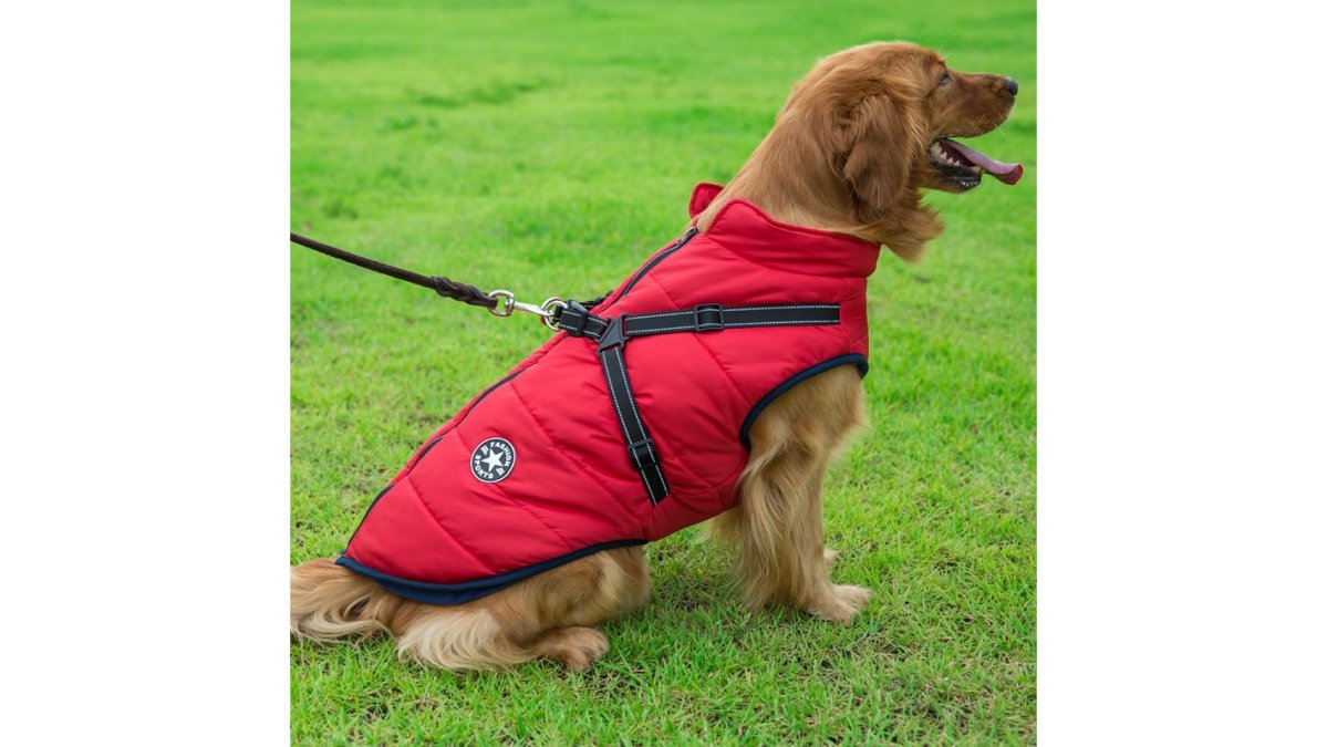 Reflective Large Dog Clothes Cold-proof Warm Pet Coat Waterproof Autumn And Winter Dog Shell Coat