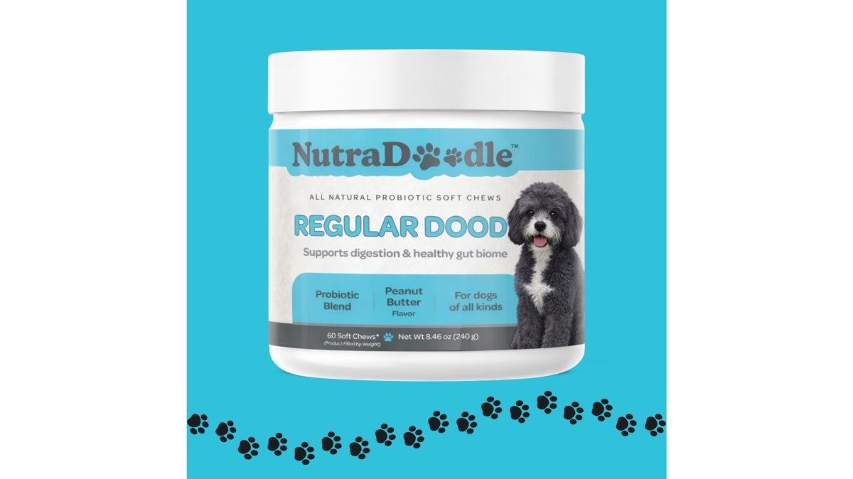 Regular Dood Probiotic Soft Chew