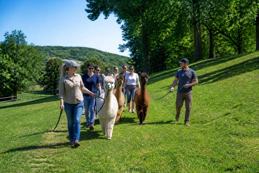 Visual roadmap for Visitors for relaxing outdoor activities near NYC