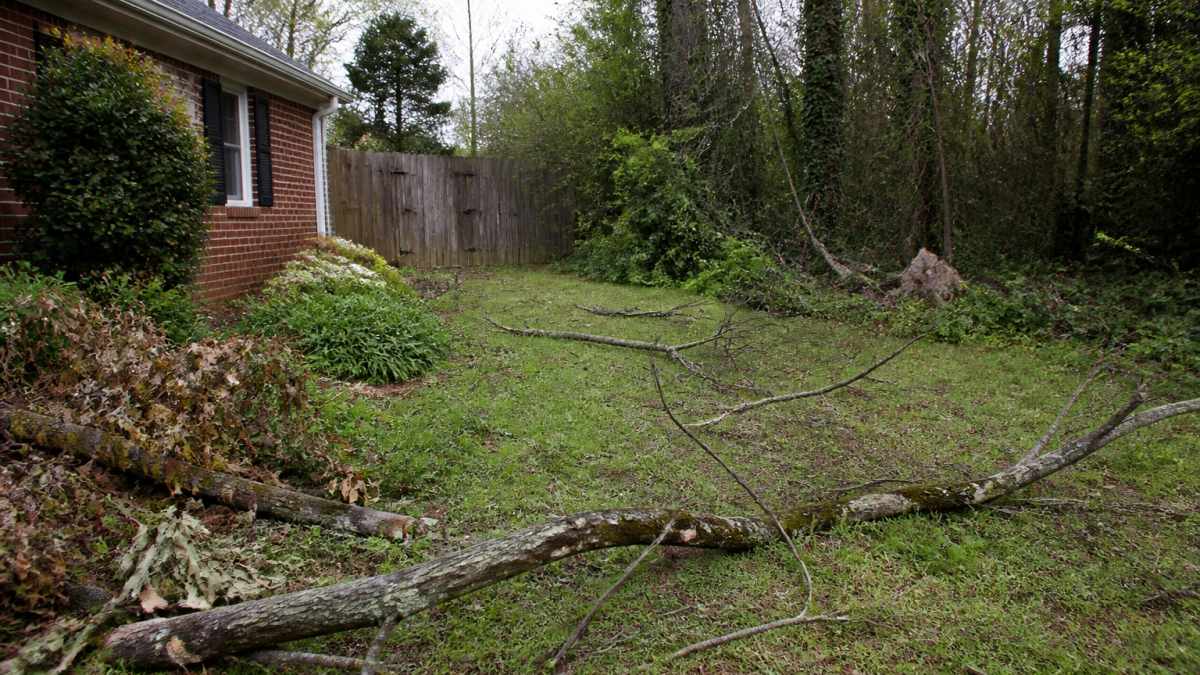 Residential property with overgrown yard, fallen branches scattered across lawn, and accumulated debris visible in corners before professional cleanup begins