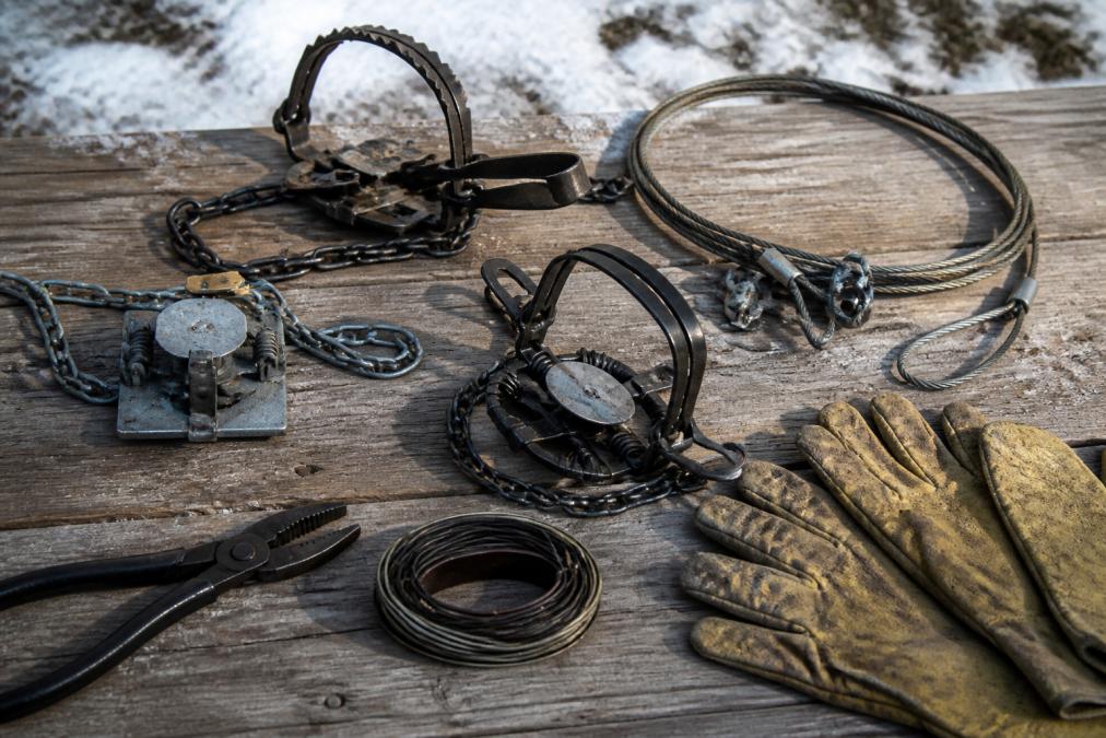 Reliable Trapping Gear for Hunters: 2026 Field Guide