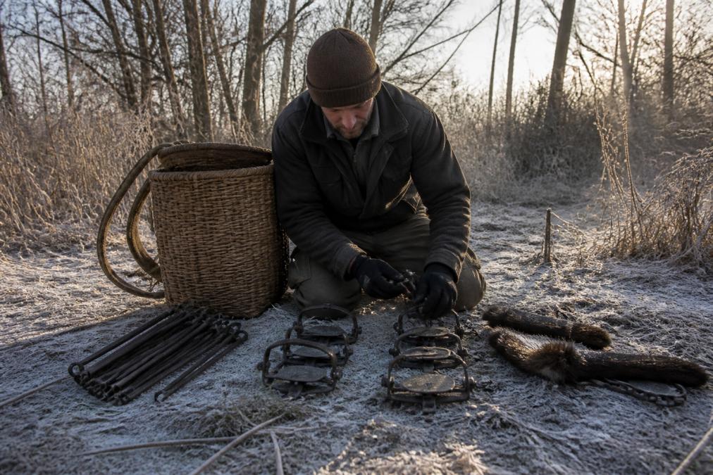 A trapper kneeling in a frost-covered wooded area, arranging foothold traps, steel stakes, and a woven packbasket on the ground beside him, early morning light through bare trees