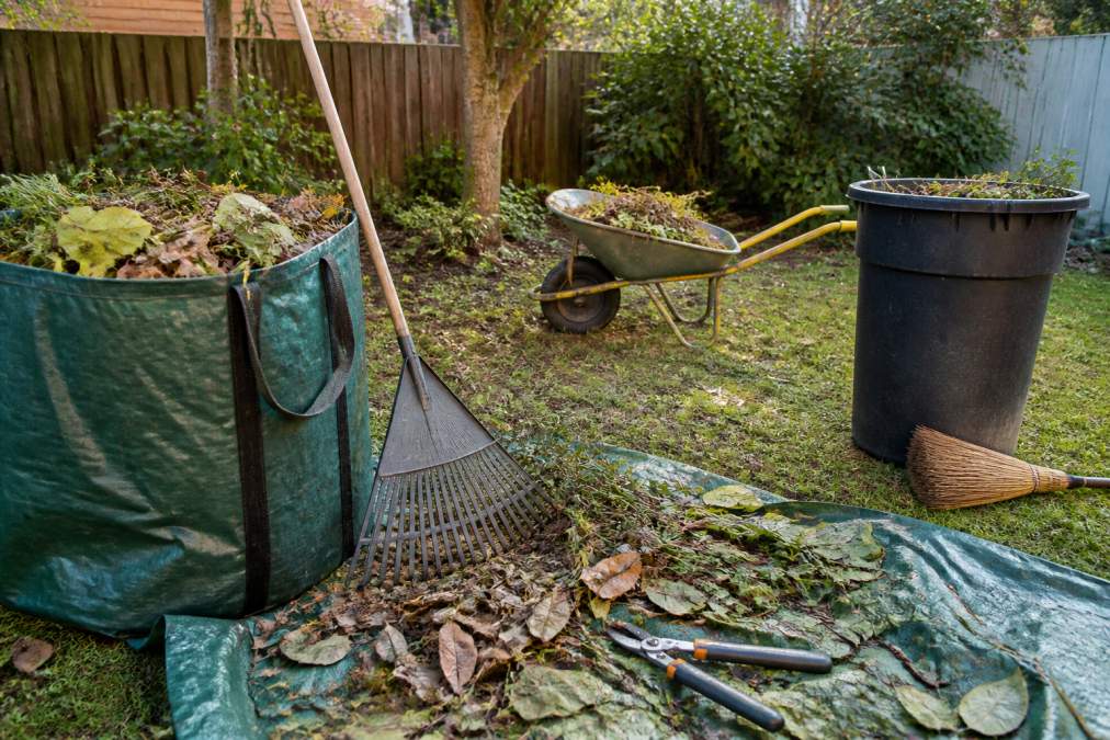 Reliable Yard Cleanup Services in Elk Grove: 2026 Guide