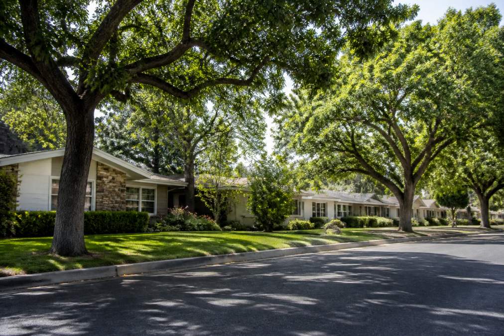Tree-lined residential street in Burbank Rancho with mid-century homes featuring manicured lawns, mature oak trees, and peaceful afternoon lighting