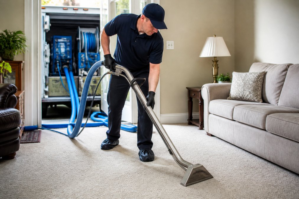 Professional illustration showing Professional for remove pet urine smell carpet
