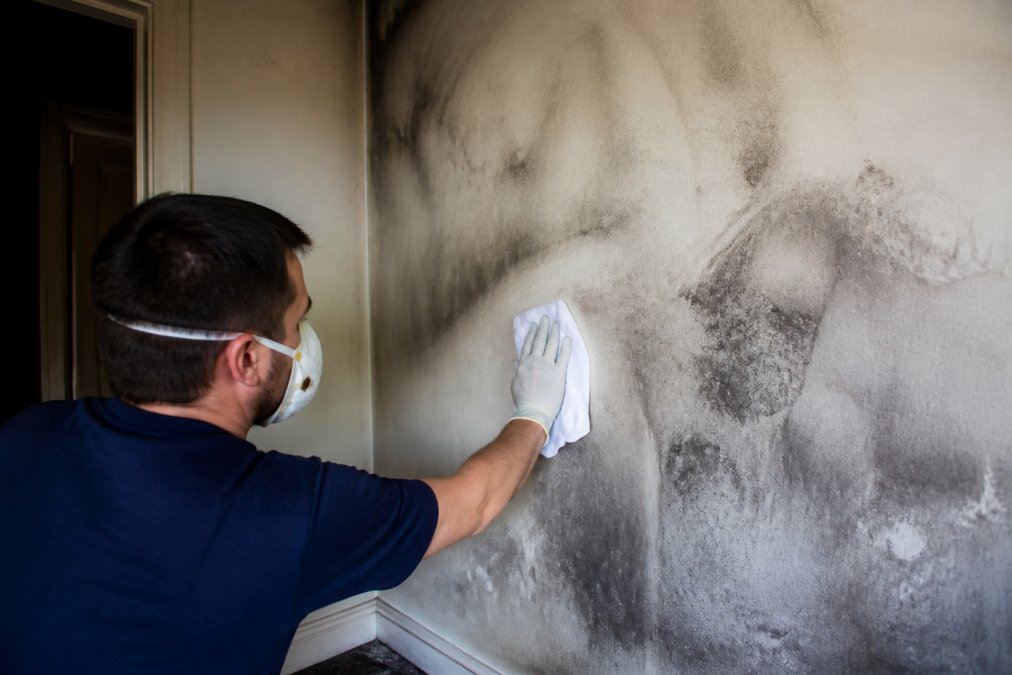 Removing Smoke Smell From Walls: 7-Step Guide