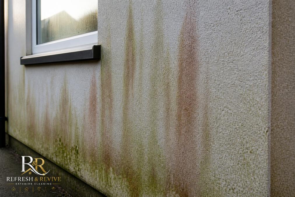 Side-by-side comparison of render cleaning alternatives