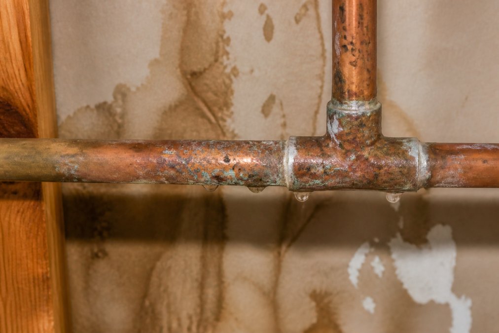 Repair vs. Replace Old Plumbing: A Homeowner's Guide 1 Close-up of corroded copper pipe with visible pinhole leaks and water staining on drywall behind the pipe joint