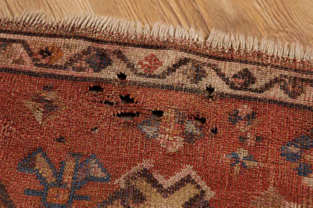 Close-up of antique kilim rug showing irregular holes and fiber loss characteristic of moth damage in the weave pattern, natural daylight