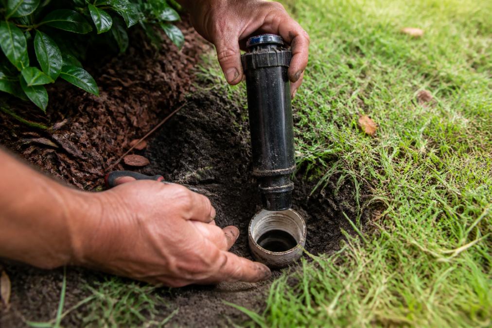 A technician's hands removing an old pop-up sprinkler head from the ground, revealing the riser coupling and plastic threads, with garden soil visible around the base