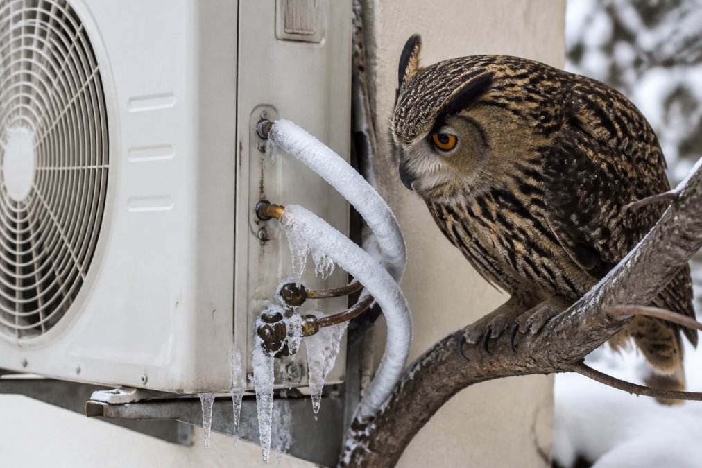 Un búho observa tuberías de cobre con hielo en un aire acondicionado que necesita reparación fuga gas aire acondicionado.