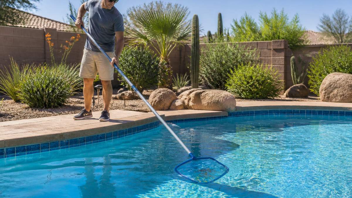 A homeowner in casual clothes using a long-handled leaf skimmer to clean the surface of a backyard swimming pool on a sunny day, with clear blue water and desert landscaping in the background