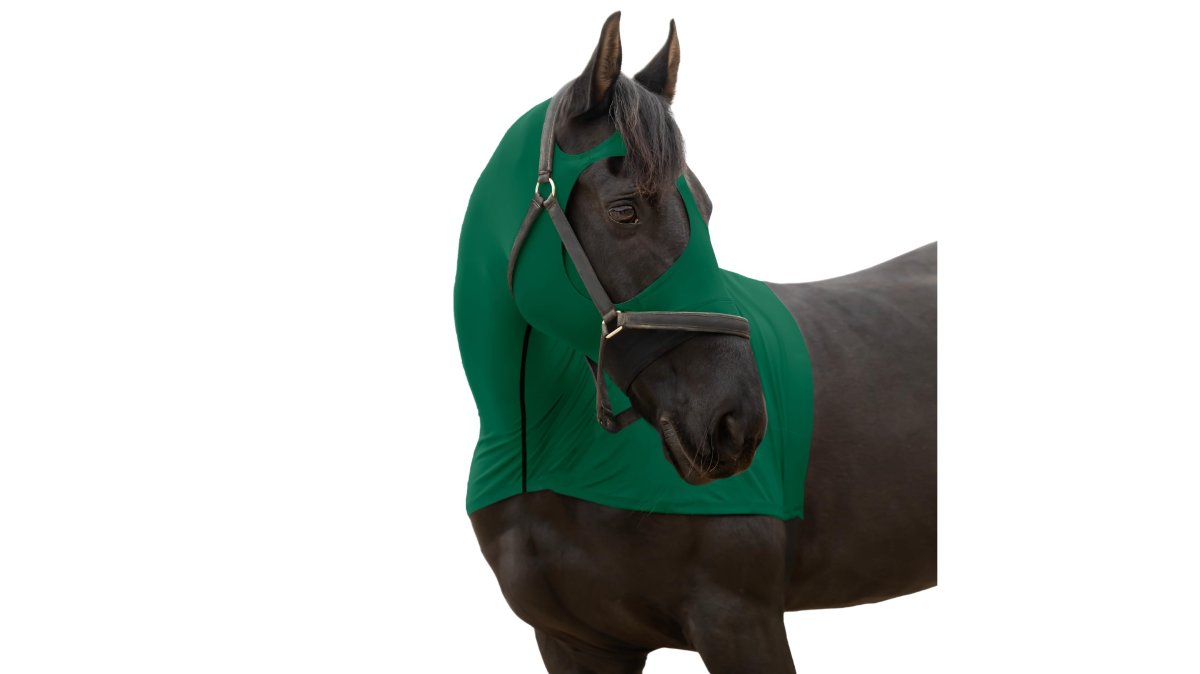 RESISTANCE Full-Zipper Horse Hood with Face