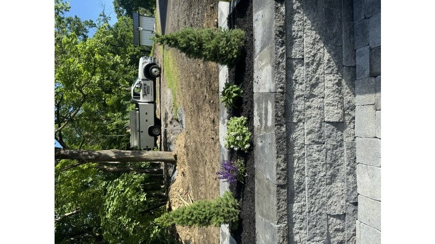 Best Ornamental Plants for Hudson Valley Gardens