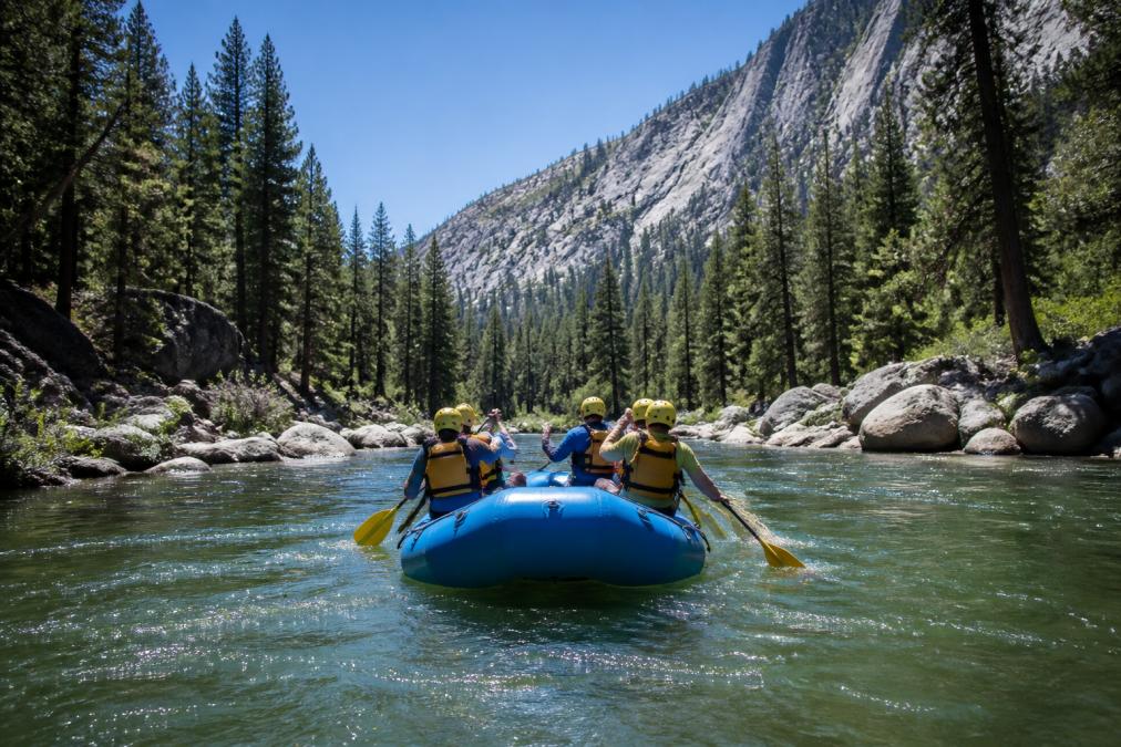 Rafters paddling through a sunlit river surrounded by pine trees and granite cliffs on wilderness river trips