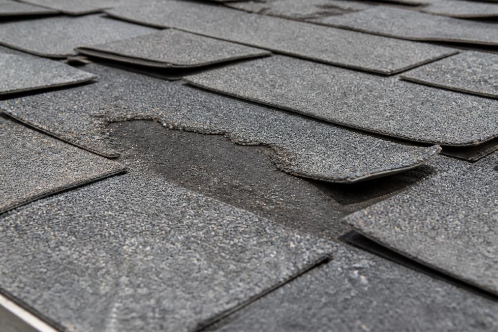 Close-up of roof shingles showing curling edges, granule loss revealing darker asphalt underneath, and visible wear damage on asphalt shingles in harsh daylight