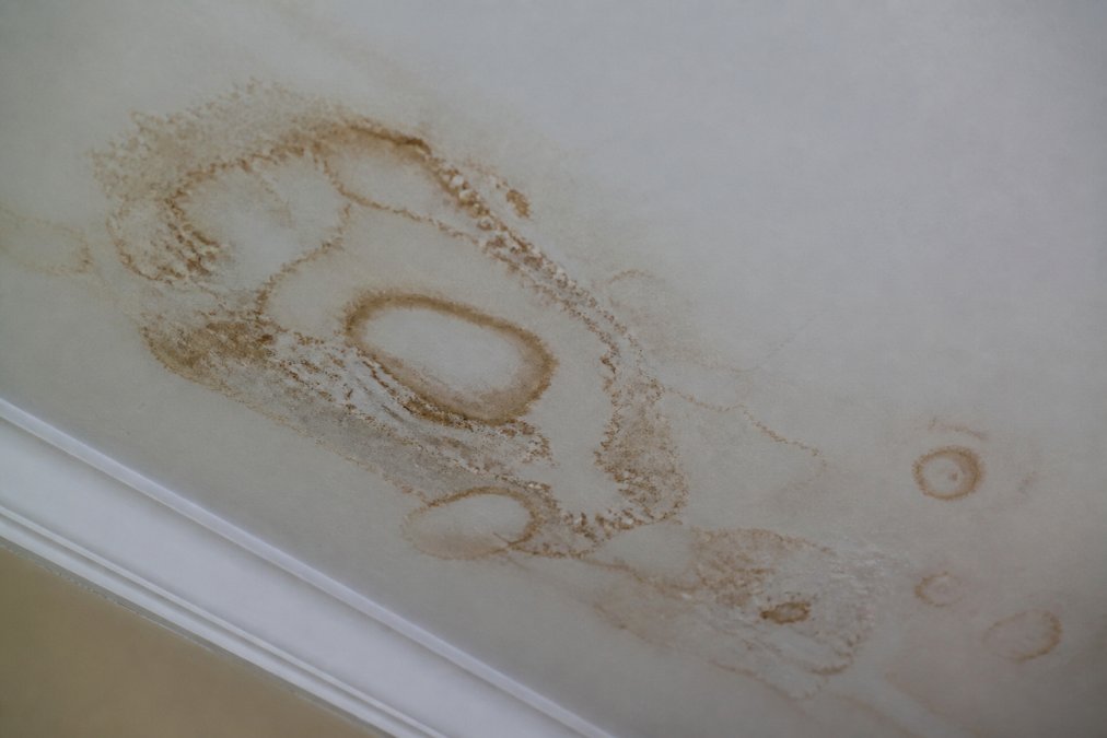Close-up of water stains and discoloration on a white ceiling, showing brown rings and moisture marks indicating an active roof leak with visible damage patterns