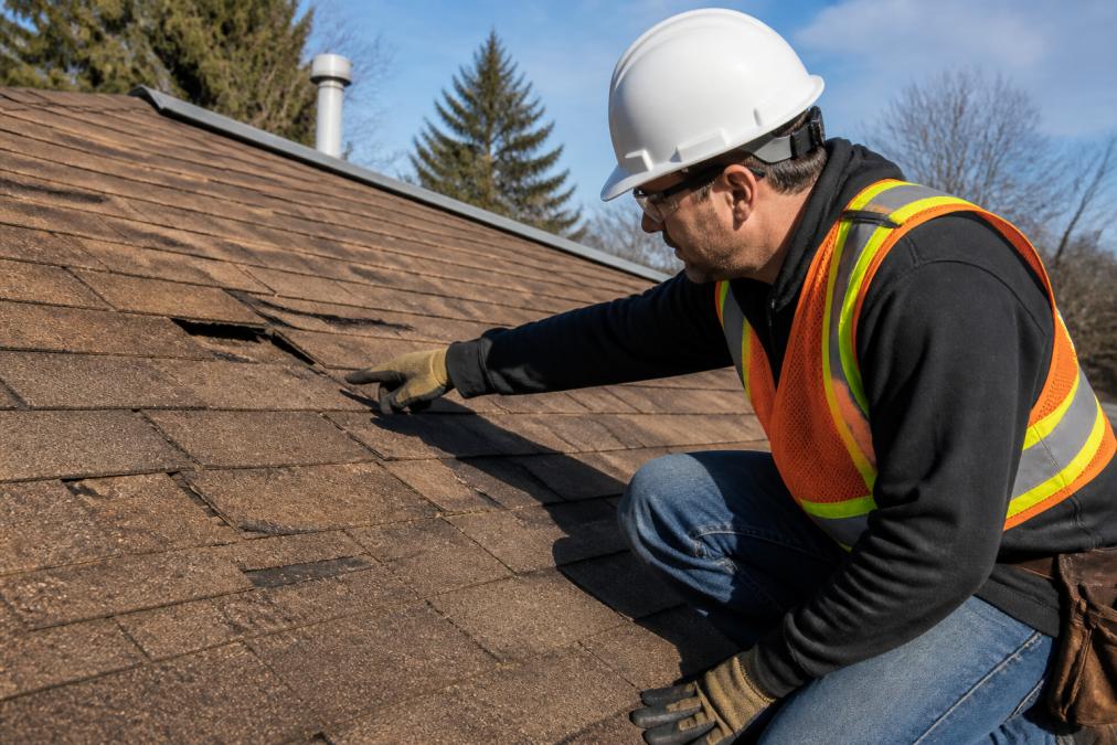 Homeowner in safety gear examining roof shingles up close, pointing to areas of wear, curling, and missing shingles with visible damage in bright daylight