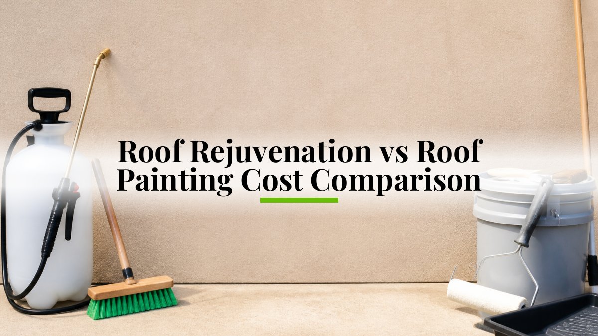 Roof Rejuvenation vs Roof Painting Cost Comparison
