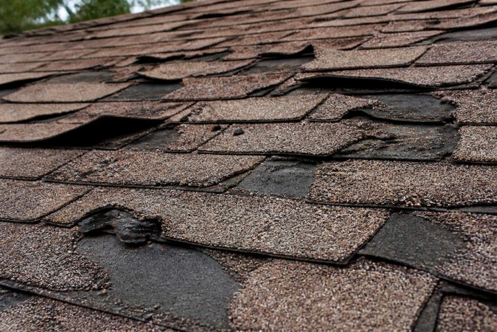 Close-up of residential roof shingles showing significant curling, missing granules, and visible deterioration with weathered appearance