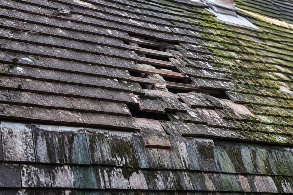 Close-up view of a roof showing moss growth, missing tiles, water staining on shingles and algae discoloration in natural daylight
