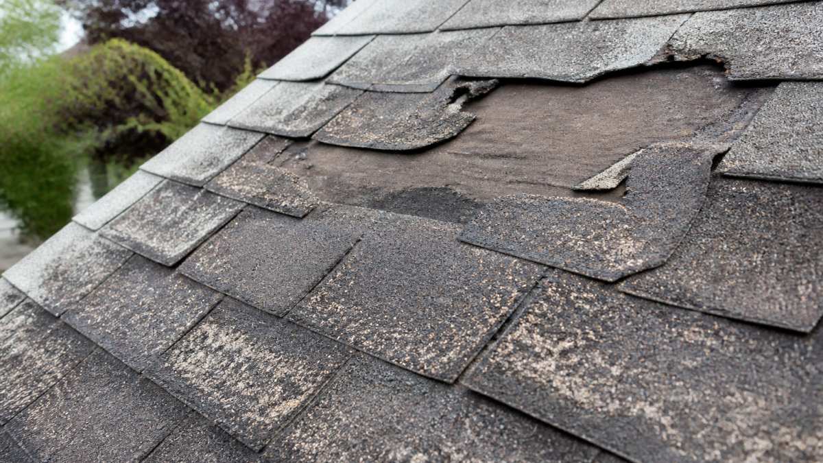 Close-up of residential roof showing missing shingles, granule loss, and weathered asphalt shingles with visible wear patterns typical of aging roof requiring replacement