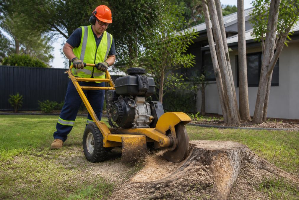 Person wearing safety helmet, protective goggles, high-visibility vest and steel-capped boots operating a stump grinder in a residential backyard, with the machine positioned against a tree stump