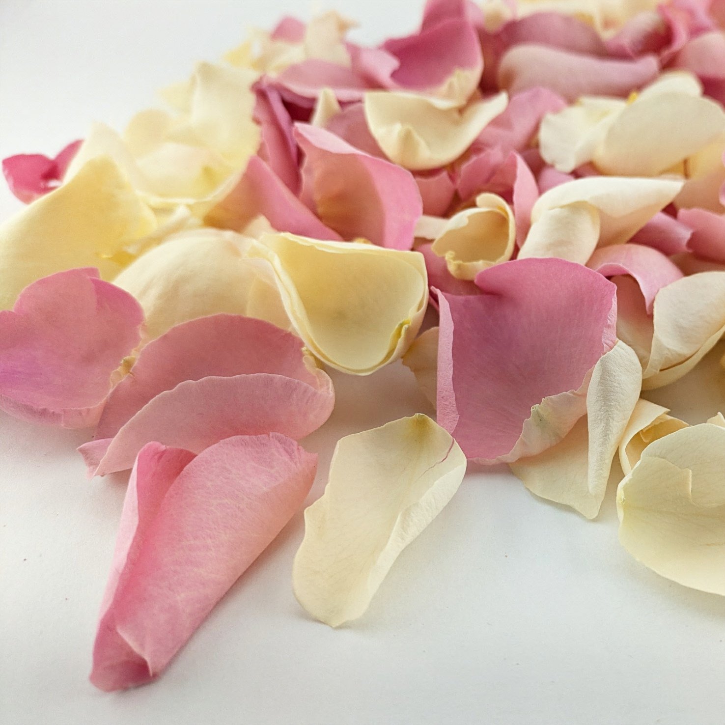 Rose Petals Wedding Confetti Wishes