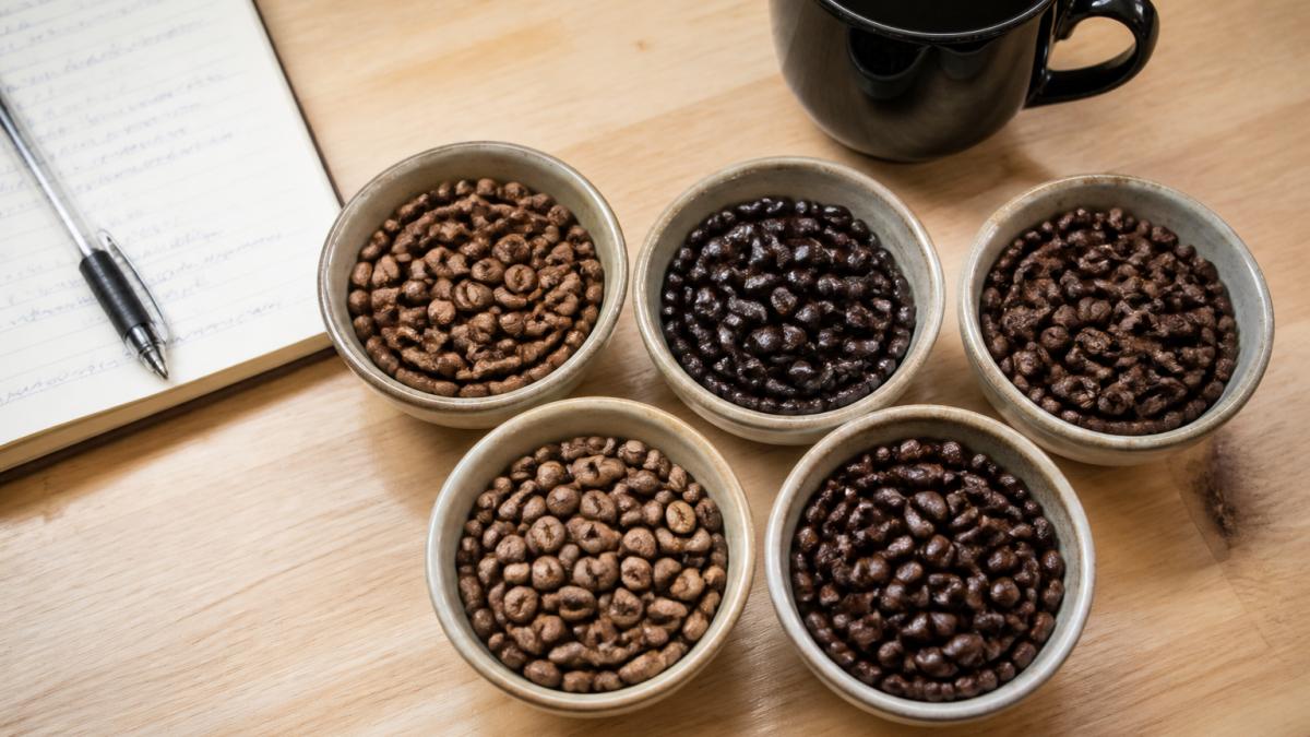 Close-up overhead shot of five small bowls of whole coffee beans with distinct colours and textures, arranged on a light wooden countertop beside a handwritten tasting notebook and a black espresso cup