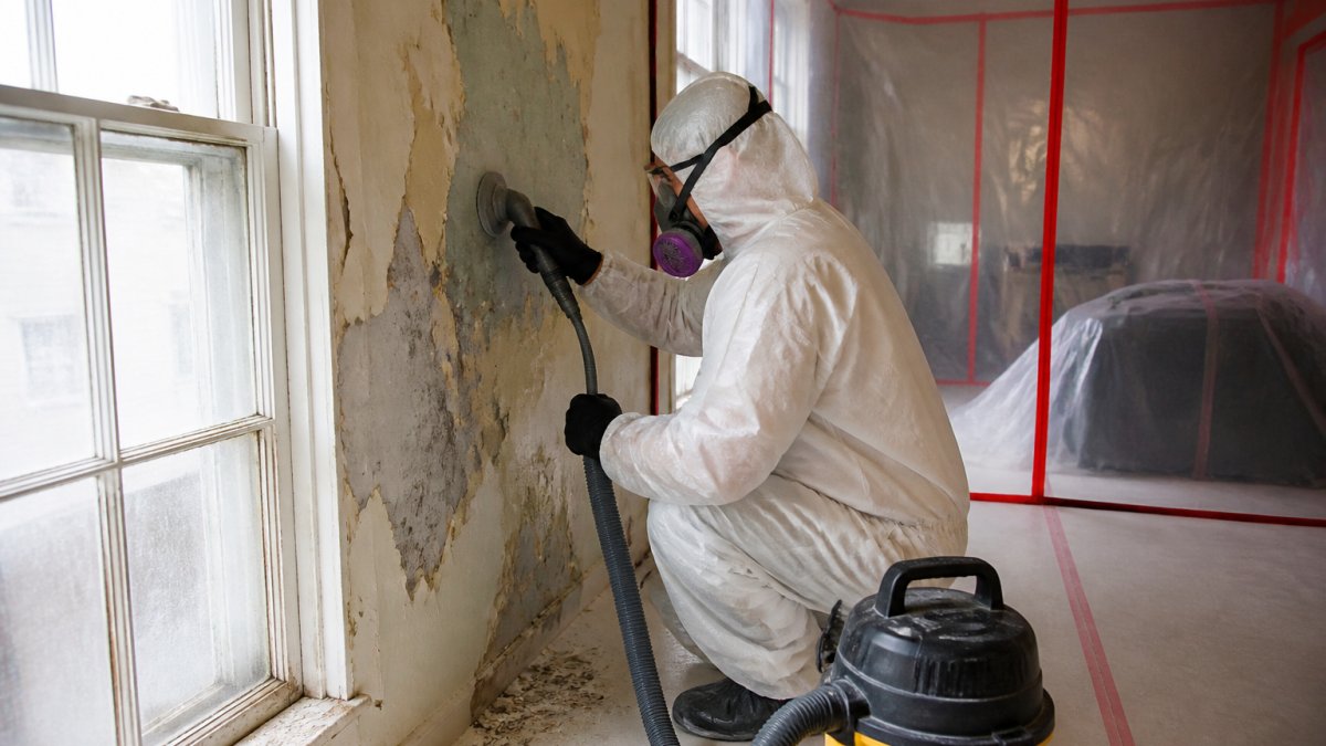 Safe Lead Paint Removal Services: What Homeowners Need to Know