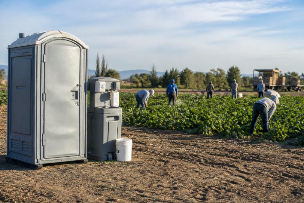 Portable restroom and handwash station setup in a rural farm field with crew workers visible during harvest season, morning sunlight illuminating the equipment