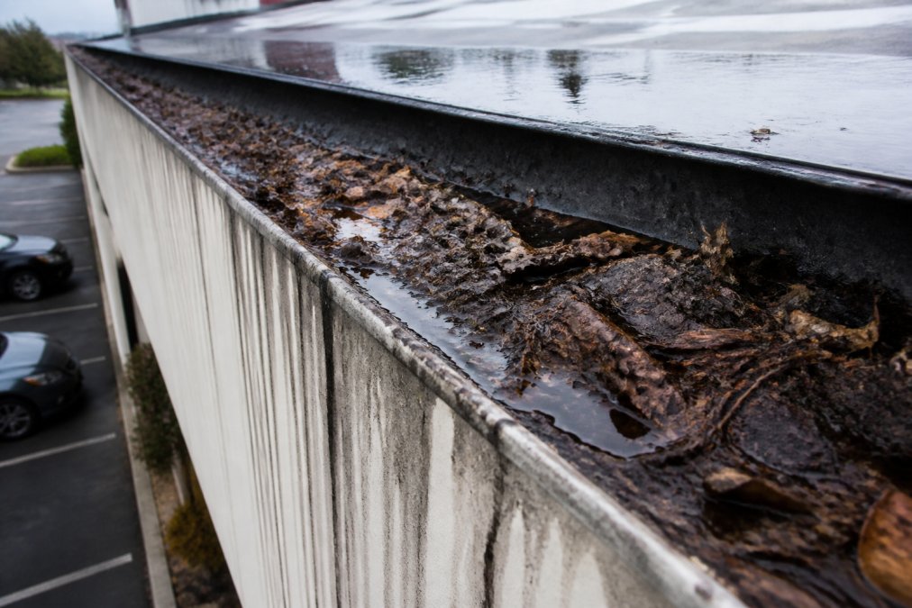 Close-up of a clogged commercial gutter overflowing with leaves, dirt, and standing water, with dark staining streaking down the fascia board below, photographed in overcast daylight