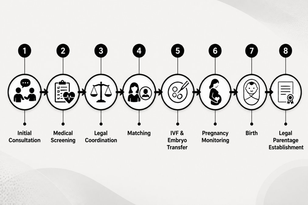 Process diagram showing steps for surrogacy planning session