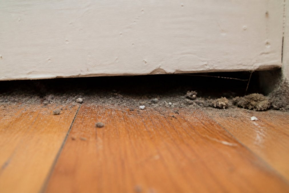 Close-up view of a dark gap between baseboard and floor in an older apartment, showing accumulated dust and debris in the crevice with natural window light