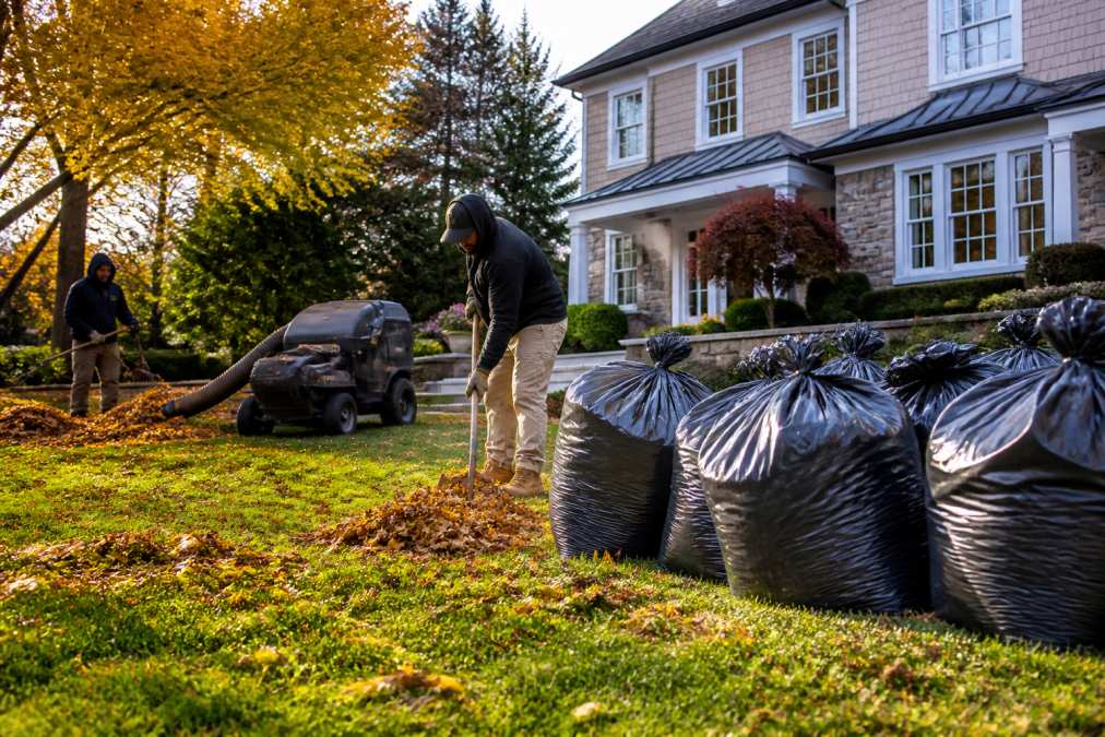 Team of workers removing fall leaves from residential property with rake and leaf collection equipment, bags stacked on lawn in afternoon light