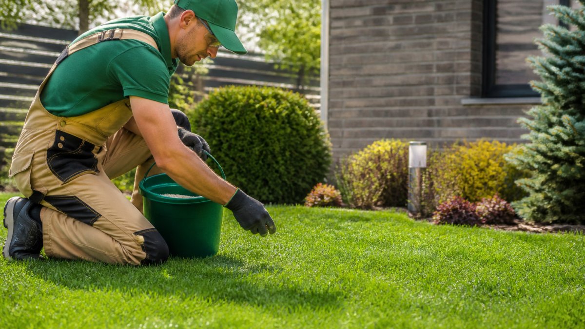Seasonal Lawn Care Maintenance Schedule for Rye