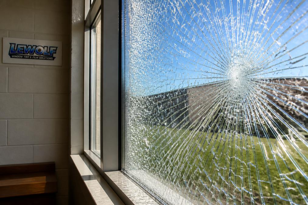 Close-up of security film on school window showing glass fragments held intact after impact, with natural sunlight streaming through the protective coating