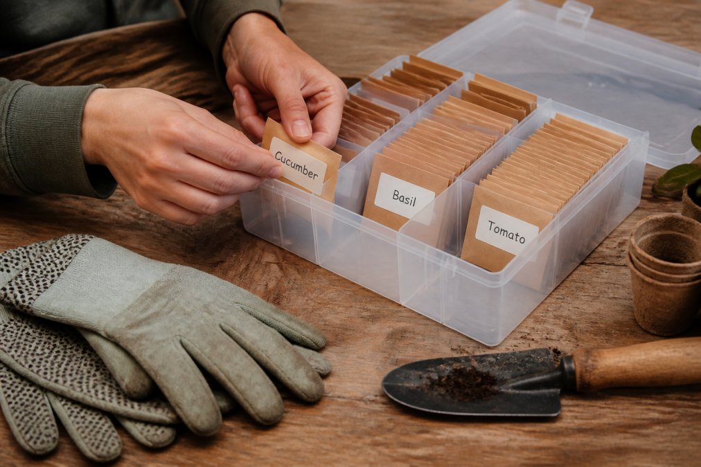 Steps for sorting garden seeds into a clear seed storage organizer tray on a wooden table