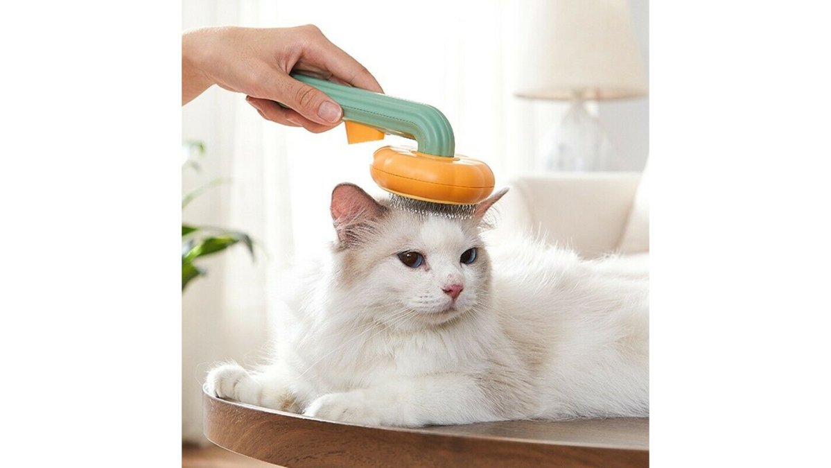 Self-Cleaning Pumpkin Pet Slicker Grooming Brush