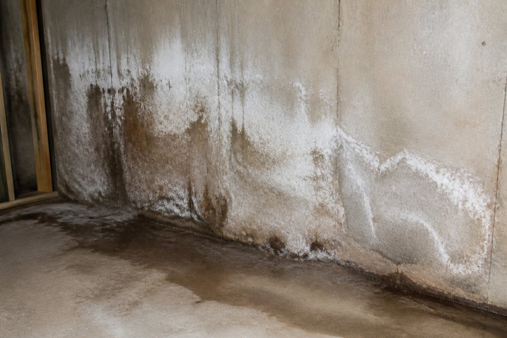 Close-up of water-stained basement walls showing visible moisture damage, efflorescence, and discoloration on concrete surfaces with visible cracks
