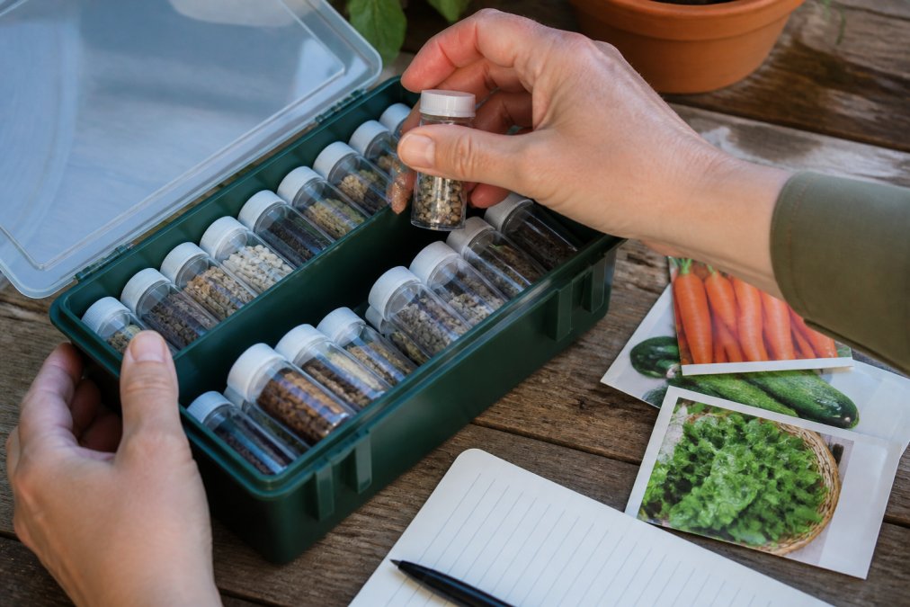 Step-by-step guide for organizing semillas de huerto in labeled vials and storage boxes for better garden management.