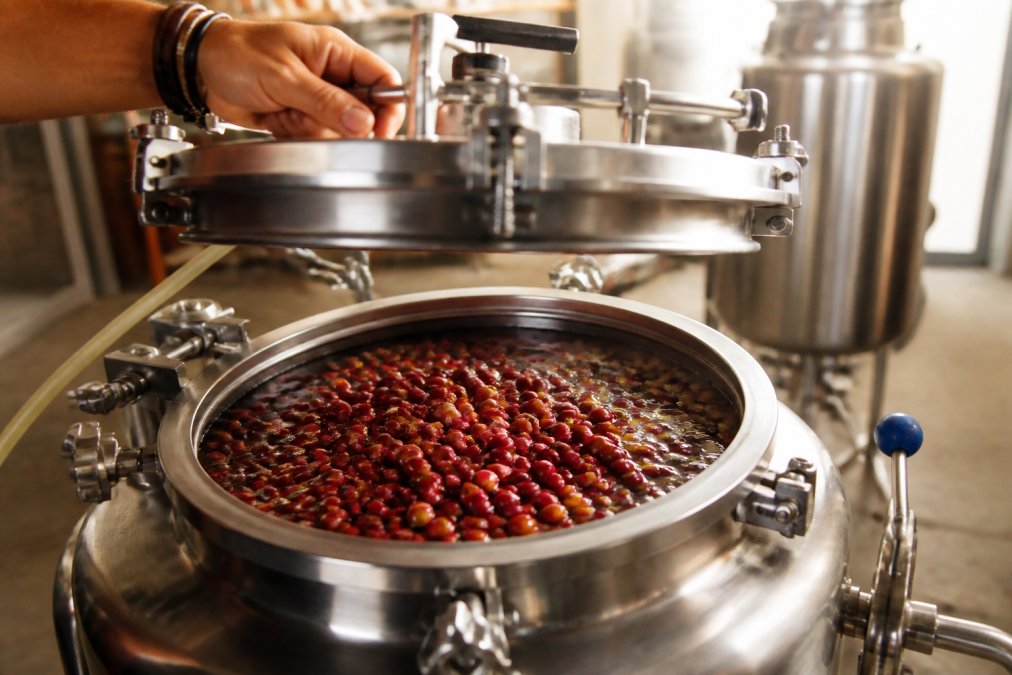 Barista adjusting the lid of a steel fermentation tank filled with coffee cherries for sey coffee alternatives