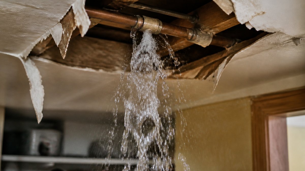 Signs of a Burst Pipe Emergency: What to Do Now