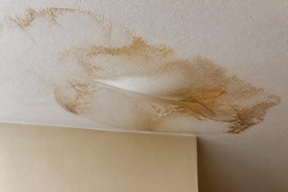 Close-up of a water-stained ceiling with visible brown discoloration and a small bulge indicating water pooling behind the drywall