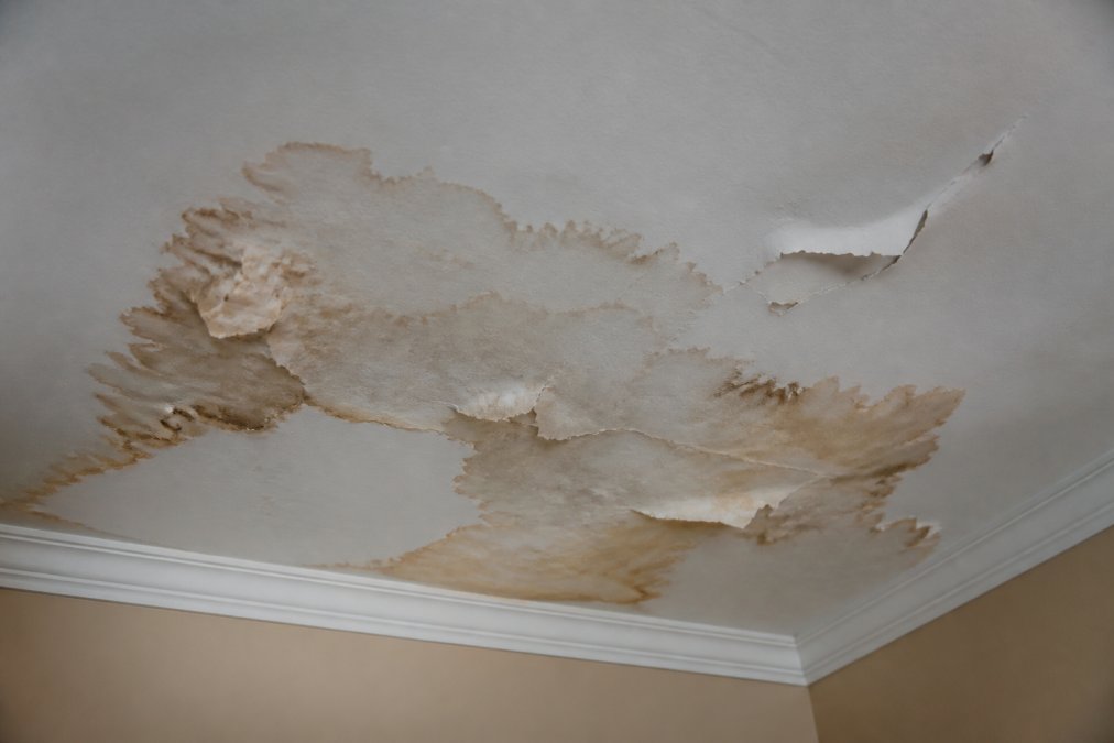 Close-up of water stains and discoloration visible on a drywall ceiling, with moisture damage patterns and peeling paint indicating hidden water damage from a pipe burst behind the wall