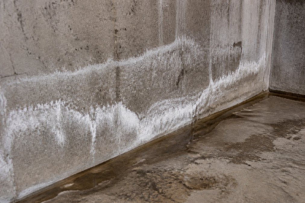 Close-up of white efflorescence deposits on concrete foundation wall with visible moisture staining and mineral buildup in basement corner